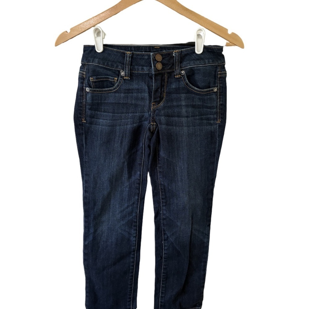 American Eagle Outfitters Blue Skinny Jeans Classic Style